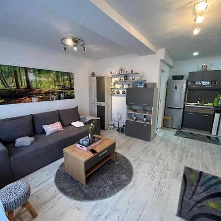 Apartament Acasa Sf.Gheorghe Sfântu-Gheorghe Extérieur photo
