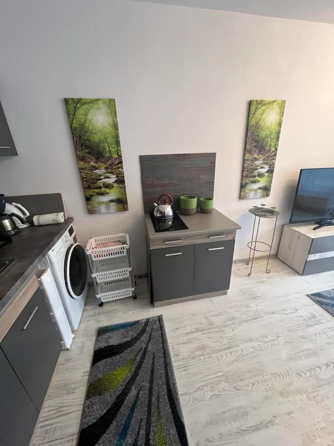 Apartament Acasa Sf.Gheorghe Sfântu-Gheorghe Extérieur photo